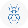 Ant Removals In Pudsey