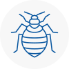 Bed Bug Extermination In Pudsey