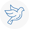 Bird Prevention Pudsey