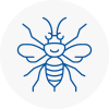Pudsey Hornet Nest Removals