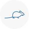 Mice Exterminators In Pudsey