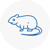 Rat Control Pudsey