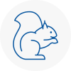 Pudsey Rodent Removals