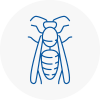 Pudsey Wasp Nest Removal